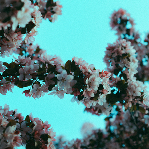 3D骚麦淫词艳曲
