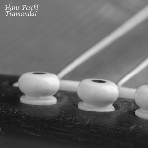 3D骚麦淫词艳曲
